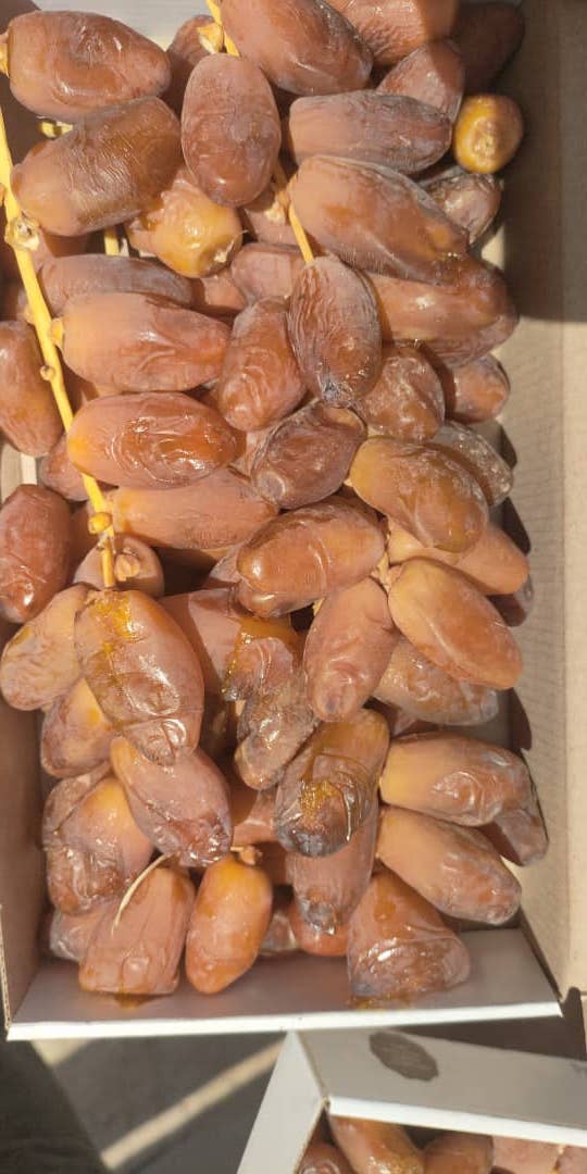 c1412e46 79b5 4529 a3c9 dbb324b8d72c